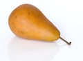 Bosch pear
