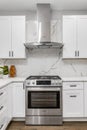 Bosch stainless steel stove and hood in a white kitchen. Royalty Free Stock Photo