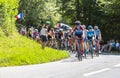 The Feminine Peloton - La Course by Le Tour de France 2019