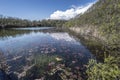 Bosherton Lakes in Pembrokeshire Royalty Free Stock Photo