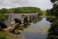 Bosherton Lily Ponds Royalty Free Stock Photo