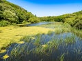 bosherton lily ponds, Wales Royalty Free Stock Photo