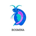 Bosmina zooplankton cartoon character flat style, vector illustration