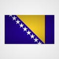 Bosnia and Herzegovina flag on a gray background. Vector illustration Royalty Free Stock Photo