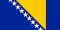 Bosnia and Herzegovina flag in official colors and with aspect ratio of 1:2