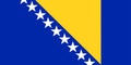 Bosnia  Herzegovina flag vector Royalty Free Stock Photo