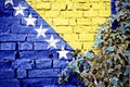 Bosnia And Herzegovina grunge flag on brick wall with ivy plant Royalty Free Stock Photo