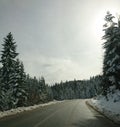 Bosnia and Herzegovina - Jahorina mountain winter vibes only Royalty Free Stock Photo