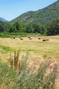 Bosnian countryside on a hot summer day. Mountain valley in Dinaric Alps. Bosnia and Herzegovina Royalty Free Stock Photo