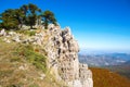 Bosnian pines on top of Serra di Crispo mountain Garden of Gods,  Pollino National Park, southern Apennine Mountains, Italy Royalty Free Stock Photo