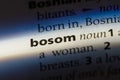 bosom