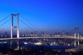 Bosphorus Bridge Royalty Free Stock Photo