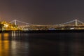 Bosphorus bridge Royalty Free Stock Photo