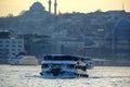 The Bosphorus, ?stanbul Royalty Free Stock Photo