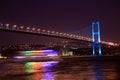 The Bosporus Bridge, Istanbul. Royalty Free Stock Photo