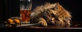 Boss funny cat on a old bar with glass of whiskey as a friend. panorama photo