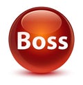 Boss glassy brown round button