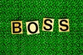 Boss on green background