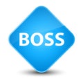 Boss elegant cyan blue diamond button