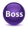 Boss glassy purple round button