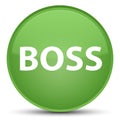 Boss special soft green round button