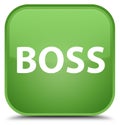 Boss special soft green square button