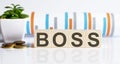 BOSS word letters on wooden blocks with coins. BUSINESS