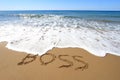 Boss written on beach Royalty Free Stock Photo