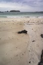 Bosta Beach on the Isle of Lewis in Scotland. Royalty Free Stock Photo