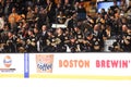 2010-11 Boston Bruins Bench