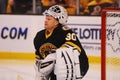 Boston Bruins Goalie Tim Thomas Royalty Free Stock Photo