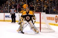 Boston Bruins goaltender Tuukka Rask Royalty Free Stock Photo