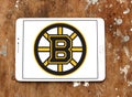 Boston Bruins ice hockey team Club logo