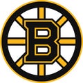 Boston bruins sports logo