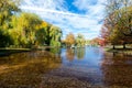 Boston Common in fall Royalty Free Stock Photo