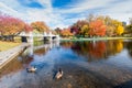 Boston Common in fall Royalty Free Stock Photo