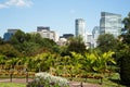 Boston Common Park Gardens with Boston Skyline Royalty Free Stock Photo