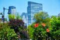 Boston Common park gardens and skyline Royalty Free Stock Photo