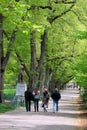 Boston Common and Public Garden, USA Royalty Free Stock Photo