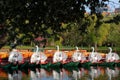 Boston Common and Public Garden, USA Royalty Free Stock Photo