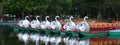 Boston Common and Public Garden, USA Royalty Free Stock Photo