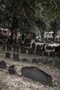 Boston common`s burial ground with historic figures from American revolution