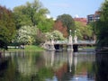 Boston Commons Bridge