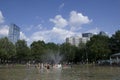 Boston commons summer view