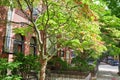 Boston historic buildings in downtown along the Freedom Trail Royalty Free Stock Photo