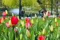 Boston Public Garden Royalty Free Stock Photo