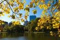 Boston Public Garden Royalty Free Stock Photo