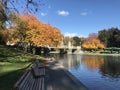 Boston public garden in fall season.