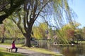 Boston Public Garden with first signs of spring