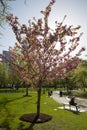 Boston Public Garden with first signs of spring Royalty Free Stock Photo